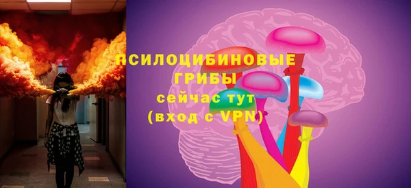 молекула духа Алзамай