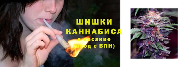 молекула духа Алзамай