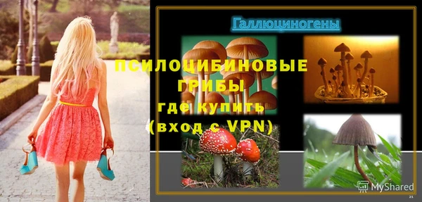 не бодяженный Алексин