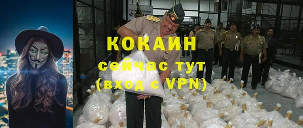 не бодяженный Алексин