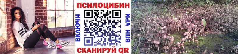 Галлюциногенные грибы ЛСД  Южно-Сухокумск 